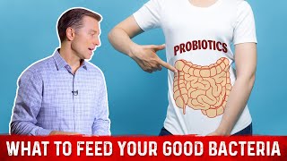 What is the Best Food for Good Friendly Bacteria – Dr Berg [upl. by Carling]