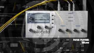 Waldorf Blofeld  Analog Voltage Soundset [upl. by Pippy]