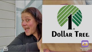 Dollar Tree Haul 🛍️ June 2 2024 [upl. by Iznik]