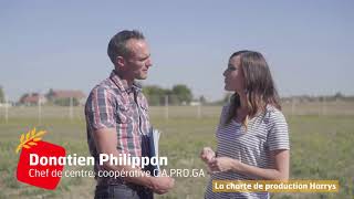 Le bonheur est dans le blé  Episode 2  rencontre avec Donatien Philippon [upl. by Annadroj]