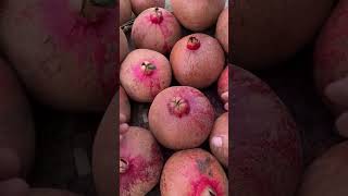 Amazing peeling skills ripe pomegranate fruit shorts food love [upl. by Fotinas221]