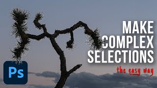 How to Make Complex Selections in Photoshop [upl. by Grishilda682]