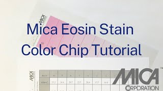 Mica Eosin Stain Color Chip Procedure [upl. by Laundes726]