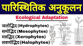 Osmoregulation in plants hydrophytes halophytes mesophytes and xerophytesUrdu Class 12 [upl. by Ennaxxor]