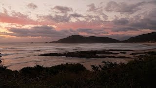 South Coast Track Tasmania 2019 [upl. by Nnayram136]