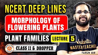 MORPHOLOGY OF FLOWERING PLANTS CLASS 11  NCERT DEEP LINES  COMPLETE NCERT FOR NEET 2025 TARUN SIR [upl. by Eimmac502]