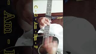 Learn To Meow  Xiao Feng Feng  Guitar Chords guitar reels shortsviral [upl. by Mellman]