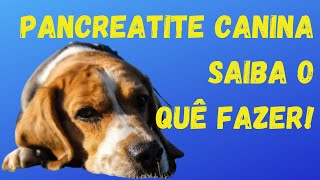 Pancreatite Canina Tipos Sintomas Como Controlar e o que [upl. by Kerr]