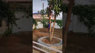 land levelling before dubo work chitwanagrihub gardening lawncare [upl. by Yevre181]