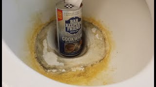 How To Clean A Toilet Remove Hard Water Stains And Rust Bar Keepers Friend [upl. by Arikat284]