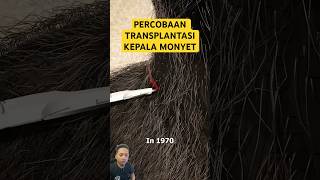 Percobaan Transplantasi Kepala Monyet animals monkey gorilla science ilmupengetahuan [upl. by Corey]