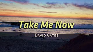 Take Me Now  KARAOKE VERSION  in the style of David Gates [upl. by Accem]