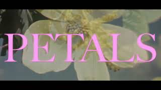 VOILÀ  Petals Official Lyric Video [upl. by Adlitam]