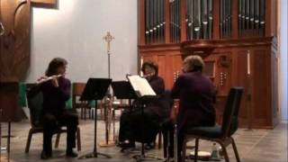 Elle Flute Trio plays Devienne Trio in F Major 1st mvt [upl. by Ailenroc]