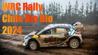 WRC Rally Chile Bio Bío 2024  Best Event Highlights wrc chile biobío 2024 automobile short vdo [upl. by Carly599]