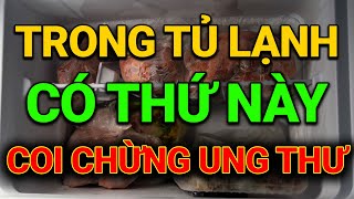 Nguy Hiểm 15 Thứ Này Tuyệt Đối Hông Bỏ Vô Tủ Lạnh Sai Lầm Ai Cũng Mắc  Vitamin Chữa Lành [upl. by Pesek68]