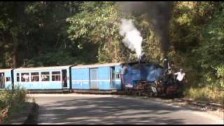 Darjeeling Himalayan [upl. by Mcculloch]