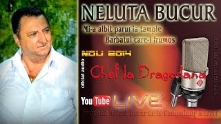 NELUTA BUCUR  Mia albit parul la tample  Barbatul carei frumos live audio [upl. by Cleavland47]