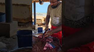 Colourful Skipjack Tuna Fish Slicing Skill  Fastest Tuna Cutting Videos [upl. by Ahsiyn288]