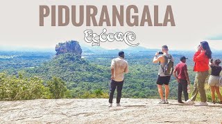 Pidurangala Hike  Sri Lanka Travel Vlog [upl. by Ahsocin145]