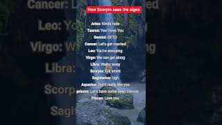 How Scorpio sees the signs astrology zodiasigns birthsigns horoscopes automobile [upl. by Animas371]