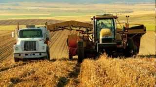 Famous Idaho Potato Bowl Commercial [upl. by Frisse]