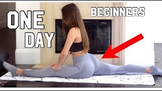 How to get your splits in ONE DAY SIMPLE FAST EASY for BEGINNERS [upl. by Sipple724]