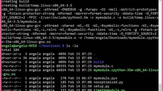 Cython vs Pure Python [upl. by Nedmac]