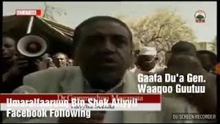 guyyaa sirna Awalacha gageessa gooticha General waaqoo Guutu irrti Dr gemechu megersa [upl. by Notle]