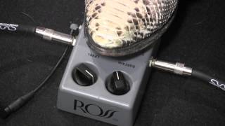 ROSS gray box Compressor guitar pedal demo with Strat amp Plexi [upl. by Daye985]