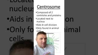 Centrosome vs Centrioles [upl. by Enidaj]