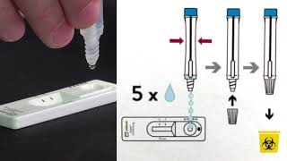 Rapid antigen screening [upl. by Sherborne]