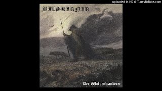 Bilskirnir  Mourning Soul Absurd cover [upl. by Kurys]