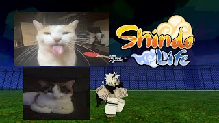 Kingston  Shindo Life pvp [upl. by Peednam876]