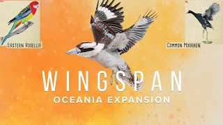 Wingspan Oceania Casual  RosellaMoorhen Combo [upl. by Illene]