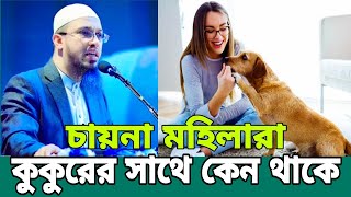 চায়না মেয়েদের সাথে কি জন্য তারা কুকুর রাখে।।শায়েখ আহমাদুল্লাহ [upl. by Jones]