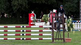 THE SHOW JUMPING HORSES  SPRINGTURNIER in VLOTHO EXTER 2012  VIDEO [upl. by Pilloff56]