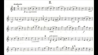 Küchler Ferdinand opus 11 for violin  piano [upl. by Season]