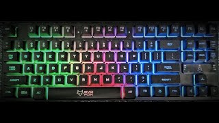 Compact Gaming Keyboard with RGB Lights  Amkette Evo Fox Fireblade Review [upl. by Maze]