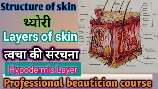 Theory of Hypodermis layer  Skin system हाइपोडर्मिस लेयर की थ्योरी  layers of skin [upl. by Aihsetal]