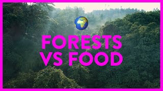 Forests Vs Food Adam  DPhil Geography amp Environment [upl. by Hartzke]