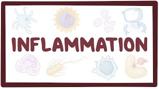 Inflammation  causes symptoms diagnosis treatment pathology [upl. by Maclay]