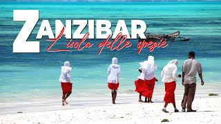 Zanzibar  Avventure nel Mondo [upl. by Raknahs74]