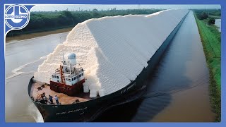 Harvesting MILLIONS of Tons Of Sugarcane To Make Raw And Refined SUGAR [upl. by Yetak]