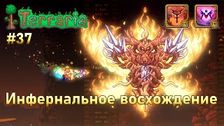 Инфернальное восхождение воина 37  Провиденс Осквернённая богиня  Terraria infernum mod melee [upl. by Sialac]