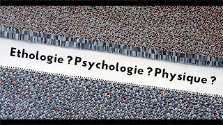 Ethologie physique et psychologie des foules  EPISODE 3 [upl. by Jowett122]