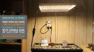 LED Grow Lights for Succulents  Unboxing and Demo [upl. by Moody]