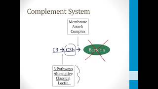 Immunology USMLE Step 1 — The Complement System — Boards and Beyond [upl. by Kalikow292]