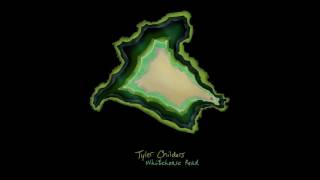 Tyler Childers  Whitehouse Road [upl. by Ikey184]