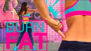 Burn Fat  Lower Back and Waist Slimmer Workout [upl. by Amy953]